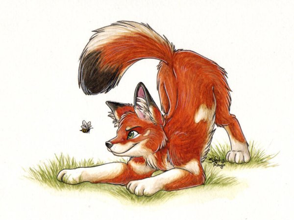 Лиса и Лисенок аниме