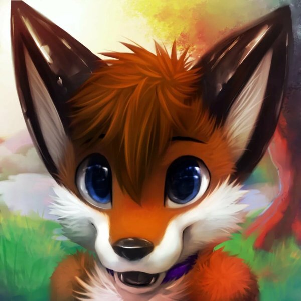 Фурри thanshuhai Fox