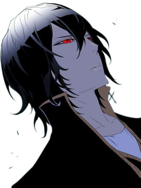 Дворянство Рейзел