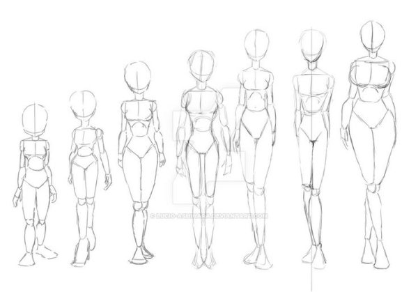 Анатомия туловища для рисования девушки