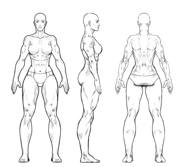 Референсы тела