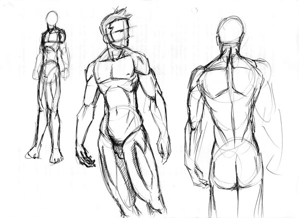 Скетчи тела