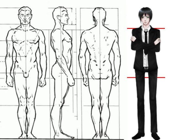 Референс человека в полный рост пропорции
