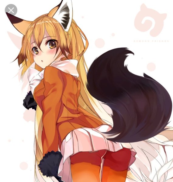 Кимоно френдс лиса