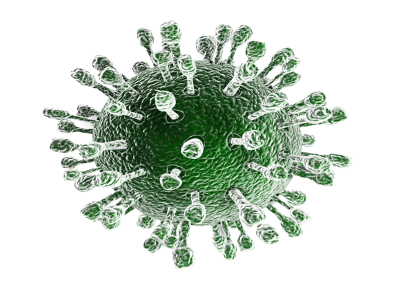 Коронавирус Covid-19 PNG