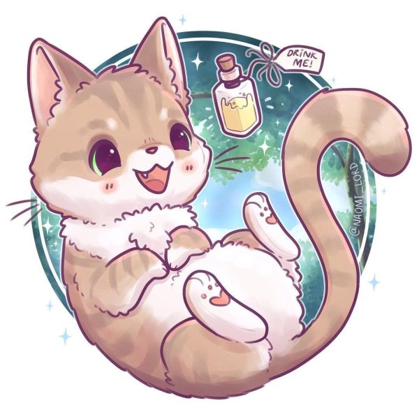 Наоми Лорд кот