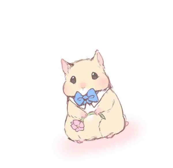 Кавайный хомяк