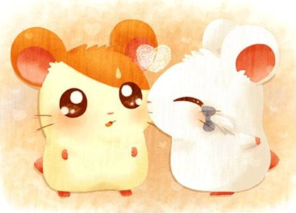 Hamtaro Bijou