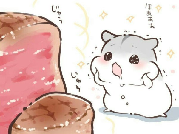 Милые арты хомячков