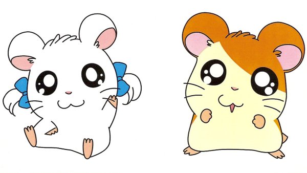 Рисунки для срисовки милые животные