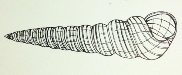 Рисунок в спиральной технике