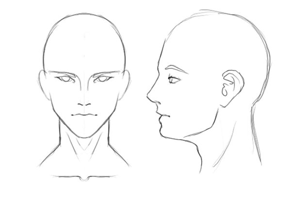 Макет головы для рисования
