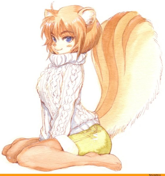 Фурри белка арт