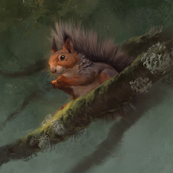 Красивые арты белок