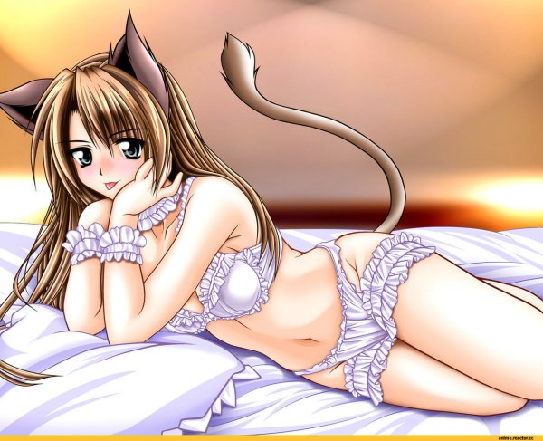 Неко девочки