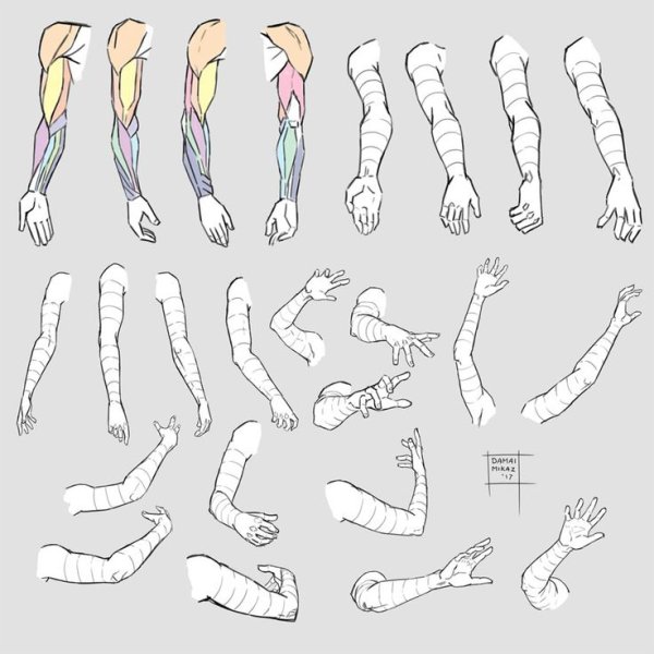 Рука в локте референс