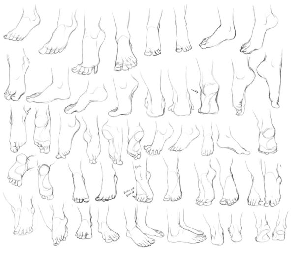 Стопа сзади референс