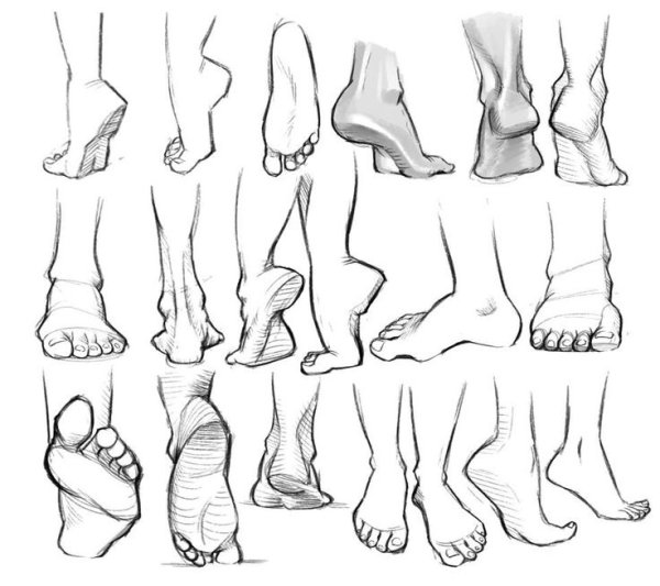 Ноги сзади референс