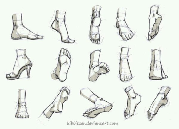 Стопа человека в разных ракурсах