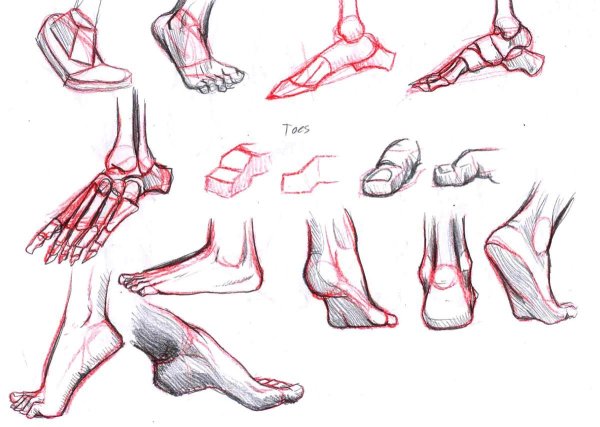 Ноги сзади референс