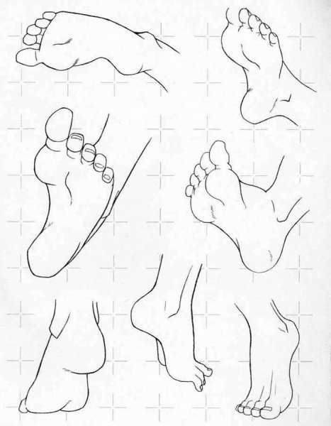 Стопы в разных ракурсах