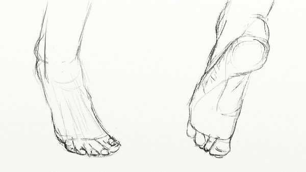Женские ноги набросок