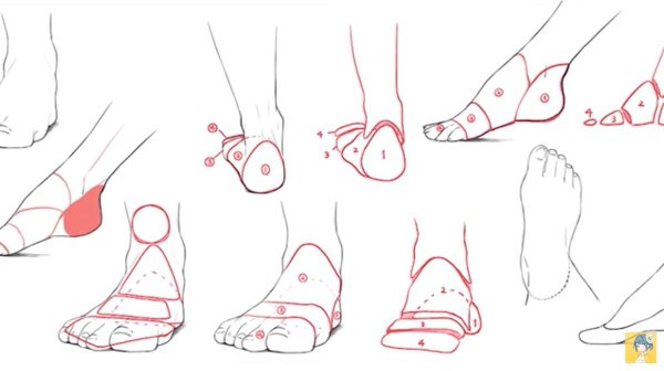 Нога в носке референс