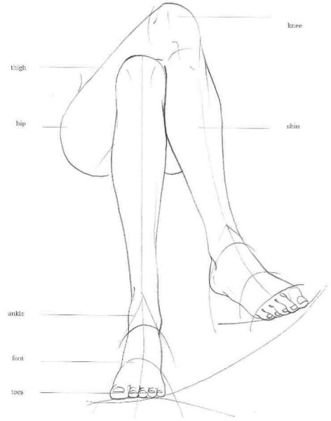 Рисовка ног