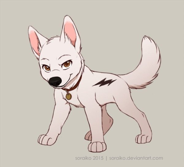 Ферал вольт