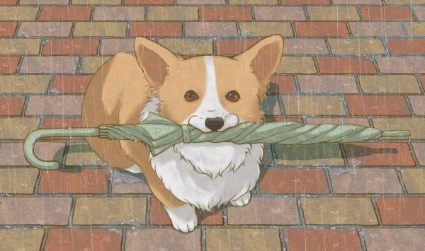 Вельш корги аниме