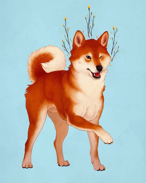 Сиба ину арт
