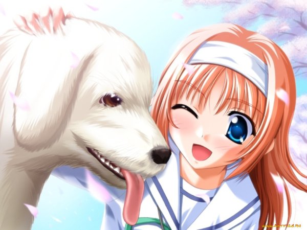 Аниме собачка
