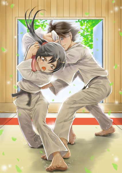 Дзюдо аниме