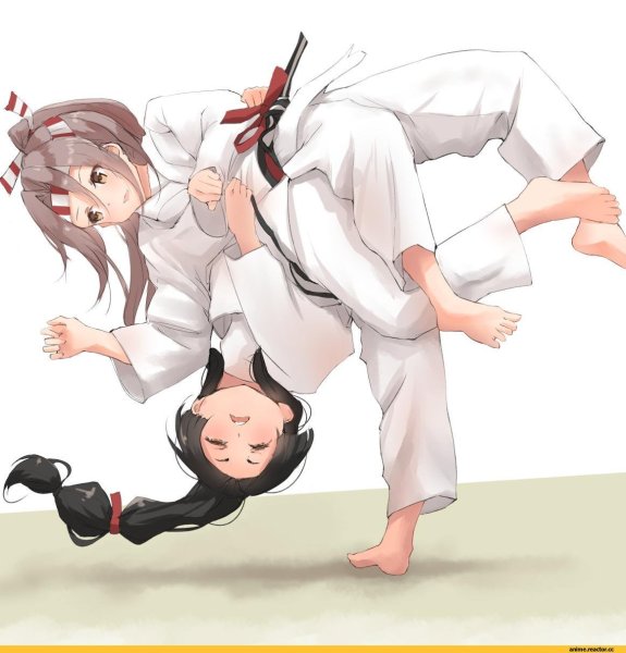 Дзюдо женское Санкаку