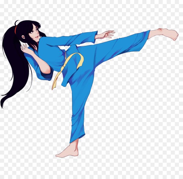 Аниме девушки каратистки