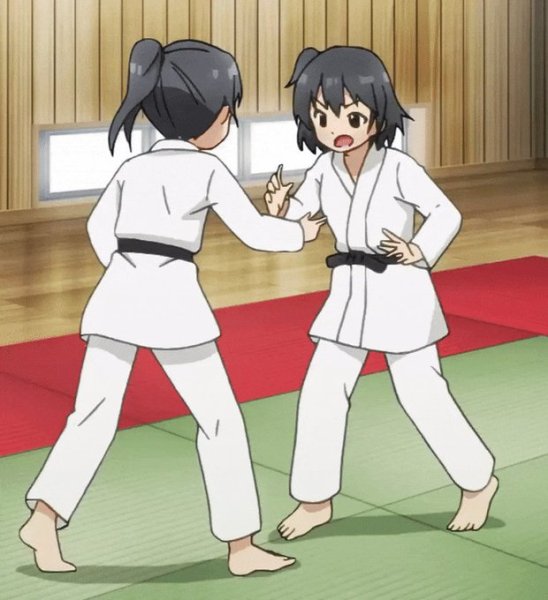 Аниме каратэ