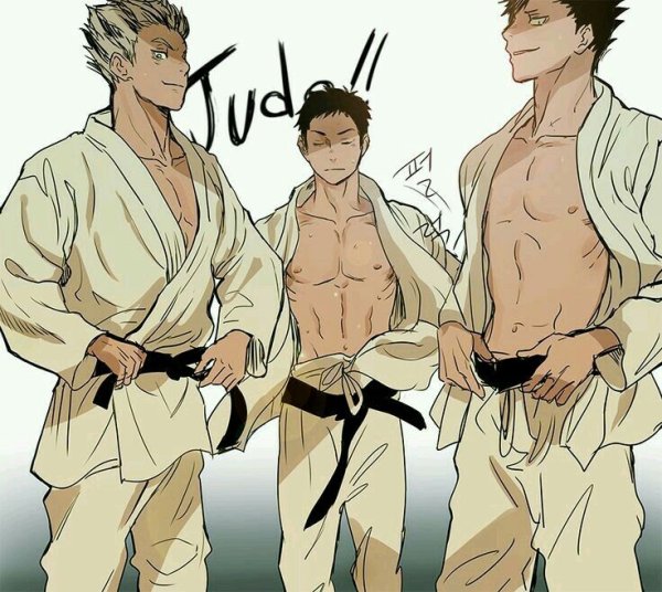 Аниме дзюдоист