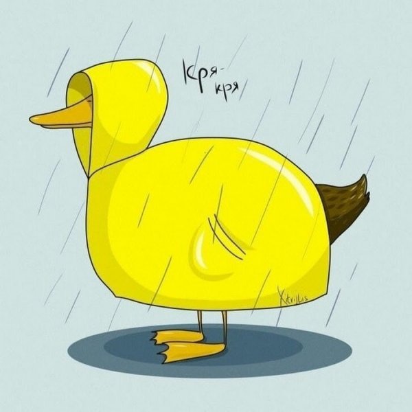 Уточки арты