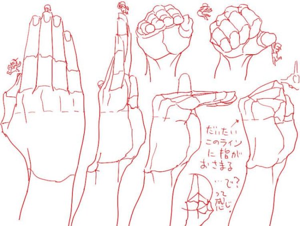 Рука вид сбоку референс