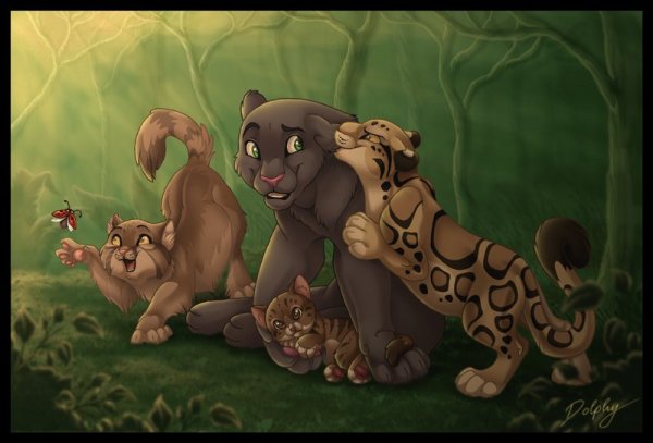 Пума и пантера арт