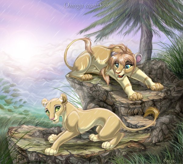 Король Лев белая львица и Лев