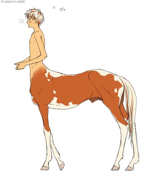 Hubedihubbe кентавры Aerick