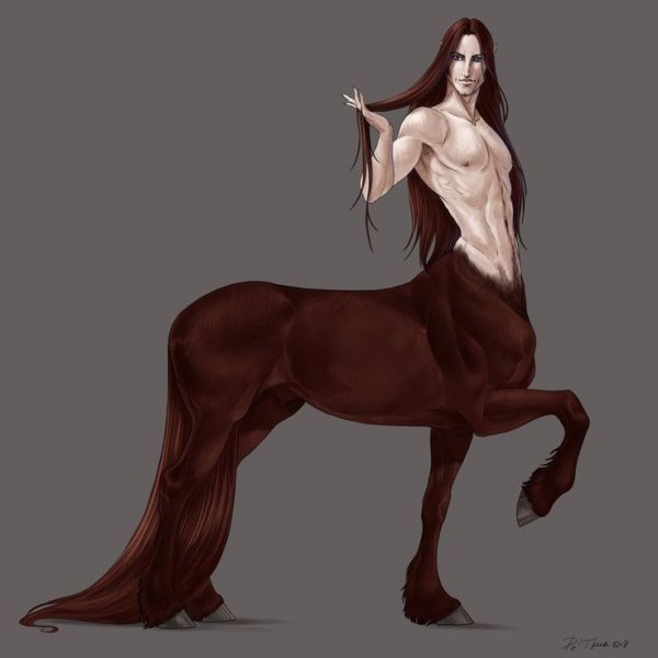 Кентавр Получеловек полулошадь