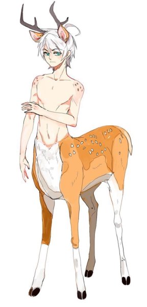 Кентавр референс оленёнок