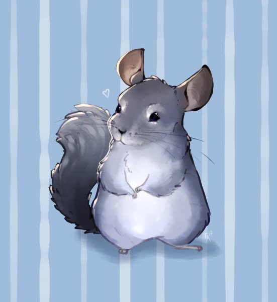 Шиншилла арт