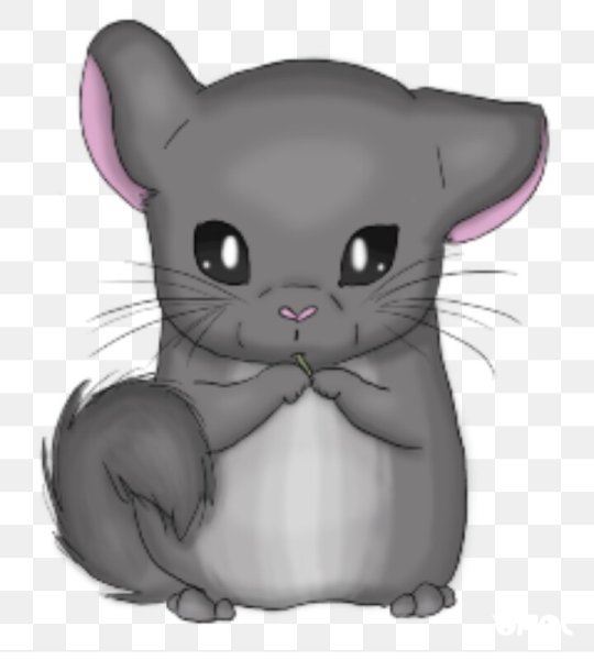 Мультяшные шиншиллы