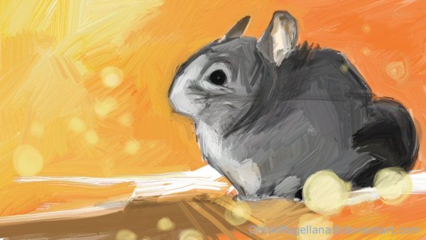 Покемон Minccino