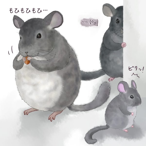 Мультяшные шиншиллы