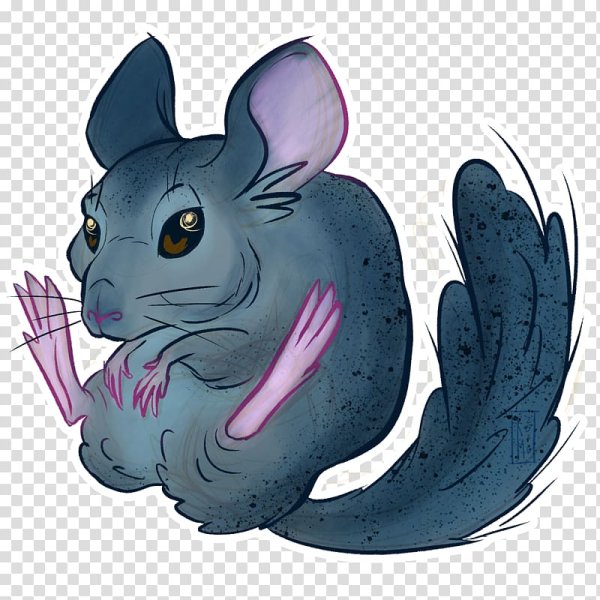 Мультяшные шиншиллы