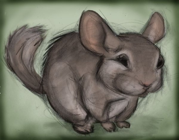 Рисунки для срисовки мышки легкие